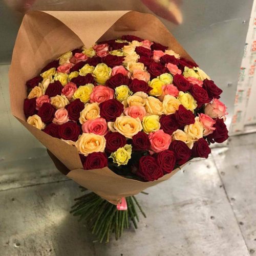 101_roza_17