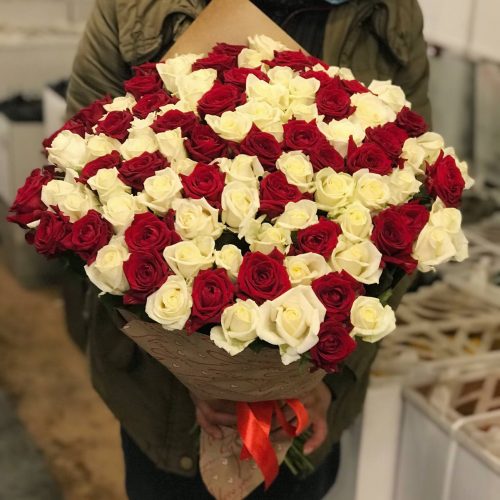 101_roza_21