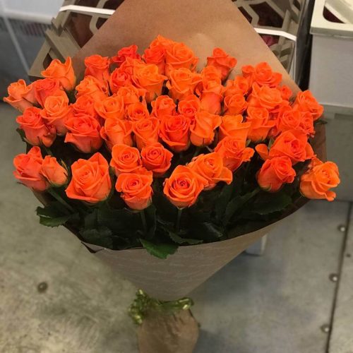 51_roza_18