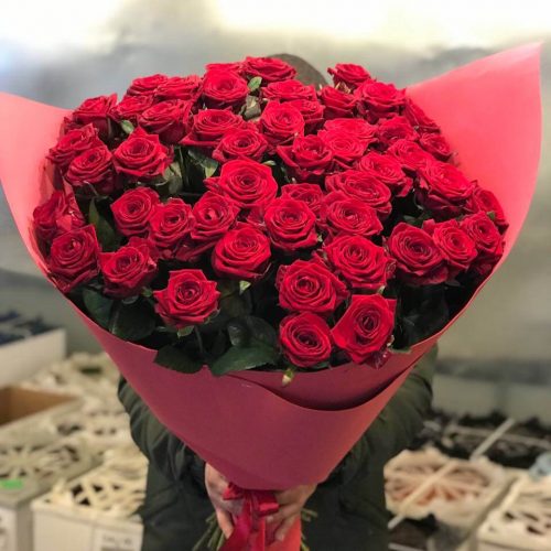 51_roza_19