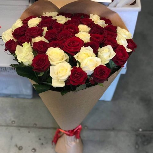 51_roza_6