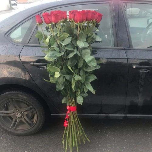 gigantskie_rozi_7