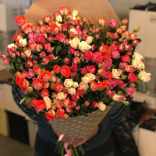 kustovie_rozi_12