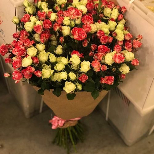 kustovie_rozi_13