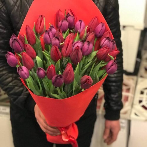 tulpani_6