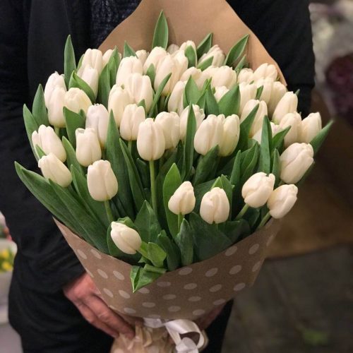 tulpani_7